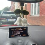 muguet crochet retroviseur avec deux fleurs blanches et feuilles vertes suspendu dans une voiture
